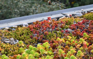 the cost of Great Staughton green roof installation