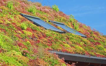 Great Staughton living roof systems