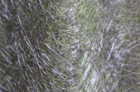 Great Staughton fibreglass roof work